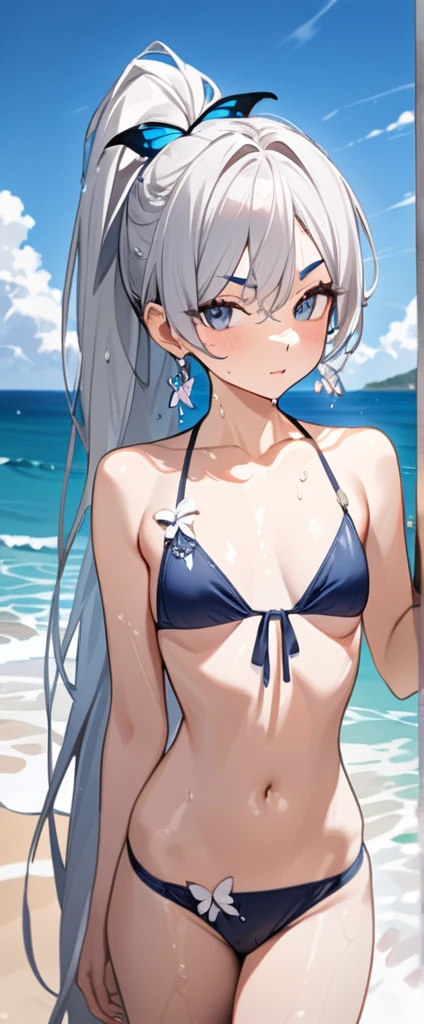 High resolution, masterpiece, accurate, Highest quality, Winner of numerous awards, High-resolution model,
Silver Hair, Wet Hair, Super long hair, ponytail,
slender、Sharp eyebrows seaside,
Butterfly Hair Ornament, Crystal Earrings,
Swimwear, Simple bikini,
Character portrait, whole body