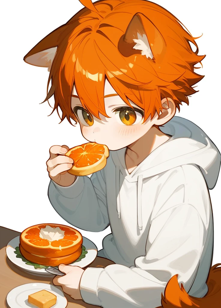 an orange hair cat in a white shirt sitting down in profile pose, male focus, 1boy, animal ears, solo, tail, shirt, simple background, white background, dog tail, white shirtan orange haired anime drawing is holding something that looks like food, 1boy, male focus, eating, food, orange hair, soloan animated anime character that is holding his head with one hand and his other hand is on his waist, 1boy, male focus, solo, hoodie, hood, blush, orange hair, white background, shota, ショタ