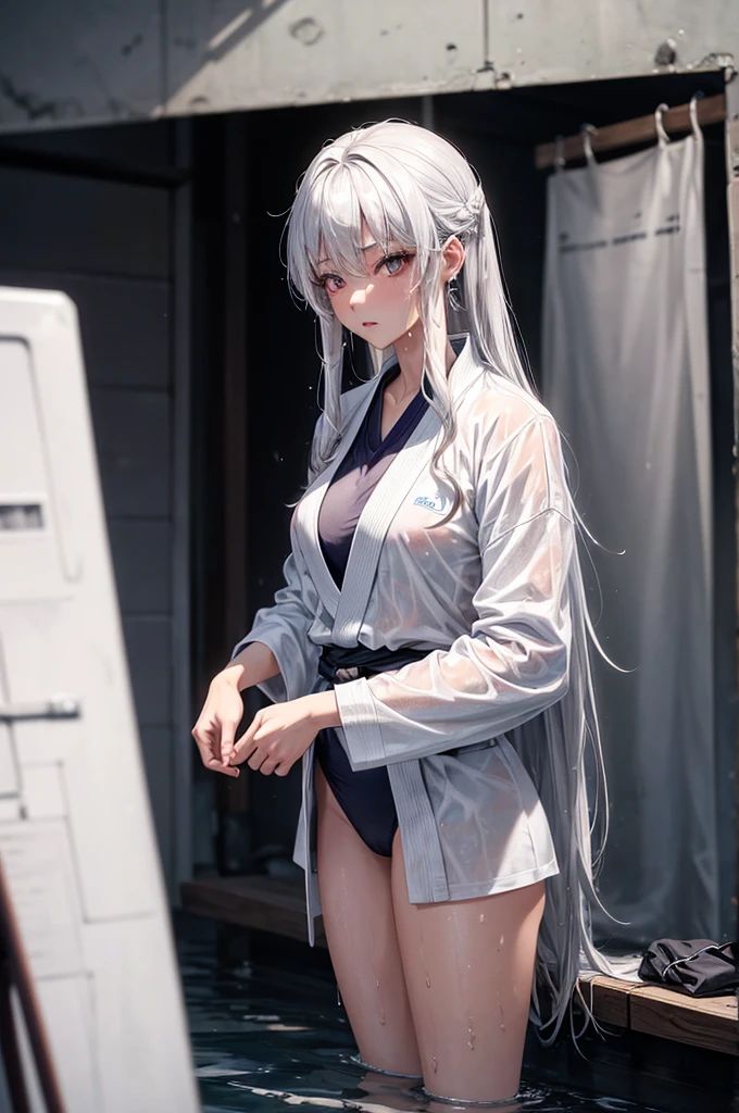 female,Korean woman, silver hair, long hair, earring,wet clothes,gi, judo,martial artist, White ,wet,sexy body, Well-groomed eyes,kick,Clothes that can be seen from the inside out,slightly protruding panties