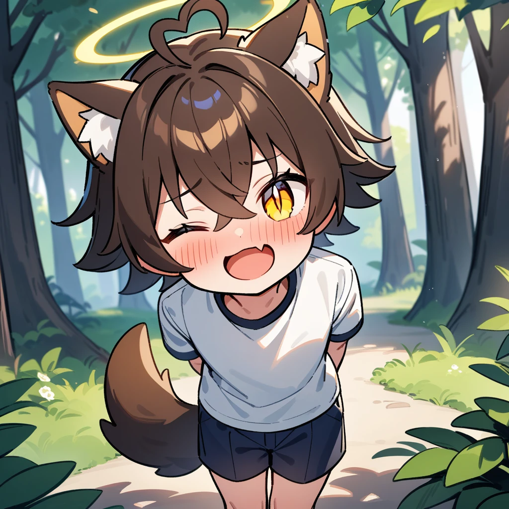 （masterpiece：1.2，high quality），4K，High resolution，A seven-year-old boy，cute boy， brown hair，short hair，crossed bangs，yellow eyes，slit pupils，one eye closed，heart ahoge，yellow halo，cat ears，full-face blush，laughing，skin fang，Wearing a white shirt，dark blue shorts，Stand in the forest，There are flowering trees on both sides.，primary school student，thigh，alone，dog tail，((Hands behind your back))