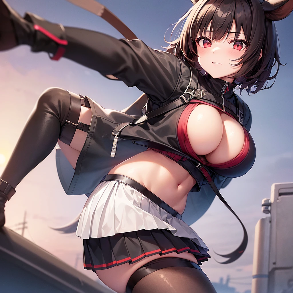 1 girl, mischievous expression, red eyes, short brown hair, white mesh bangs, horse ears, big breasts, black turtle inner top, light blue winter jacket, black wide pleated skirt, black knee socks, black short boots, dusk, sunset sky, sunset