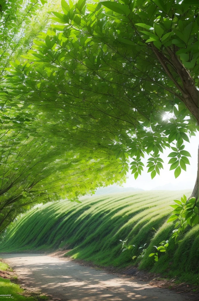 Ecopromotion: Grow Sustainably""Spread Green, Grow strong""Smart Promotion, Sustainable Impact""Your Business in Harmony with Nature""Marketing Verde, Real Results""Ecopromotion: Success and Sustainability Hand in Hand""Transform Disclosure, Preserve the Planet""Promoting Business, Protecting the Future""Ecopromotion: The Future of Sustainable Marketing""Sustainable Disclosure for Conscious Business"