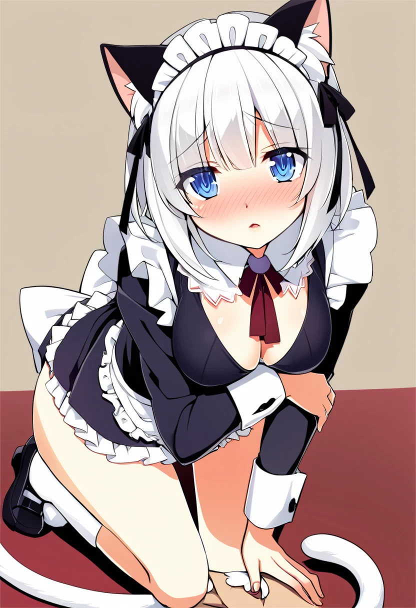 one girl, cat ears, white hair, naive, aphrodisiac, maid, from above, light blue eyes, blush, erotic hypnosis, standing