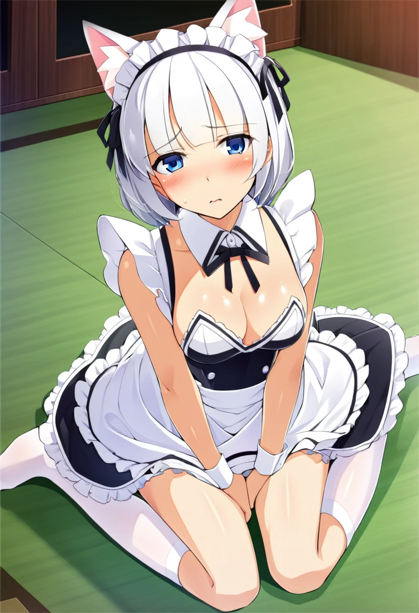 one girl, cat ears, white hairs, naive, hair eyes, light blue eyes, love me, maid, innocent, hypnosis, blush, from above, , wariza, hands on ground, medium breasts, sexy costume, shy