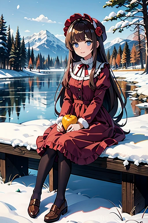 masterpiece, Highest quality, winter, Snowfield, One girl, bangs, blue eyes, blunt bangs, bonnet, Brown footwear, Brown Hair, dress, Frills, fruits, whole body, Have, Long Hair, Long sleeve, View your viewers, pantyhose, purple dress, Red flower, red Rose, Rose, shoes, Sitting, alone, null, sun, Mountain, forest, lake,