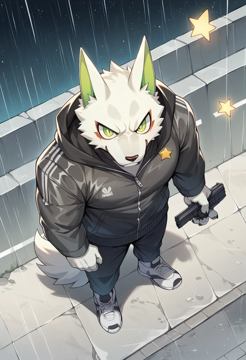 masterpiece, Best Quality, absurd resolution, ultra detailed, perfect anatomy,
monomasa,
por canandne khai, for you.and.stars, (by DRKS:0.28), (by Pino Daeni:0.8),
furry, muscular male, lobo, well-built, Alone, green pupils, sneakers,
jacket, dress, dynamic angle, high angle view, Blade, holding gun,
rain, cloudy, urban landscape,