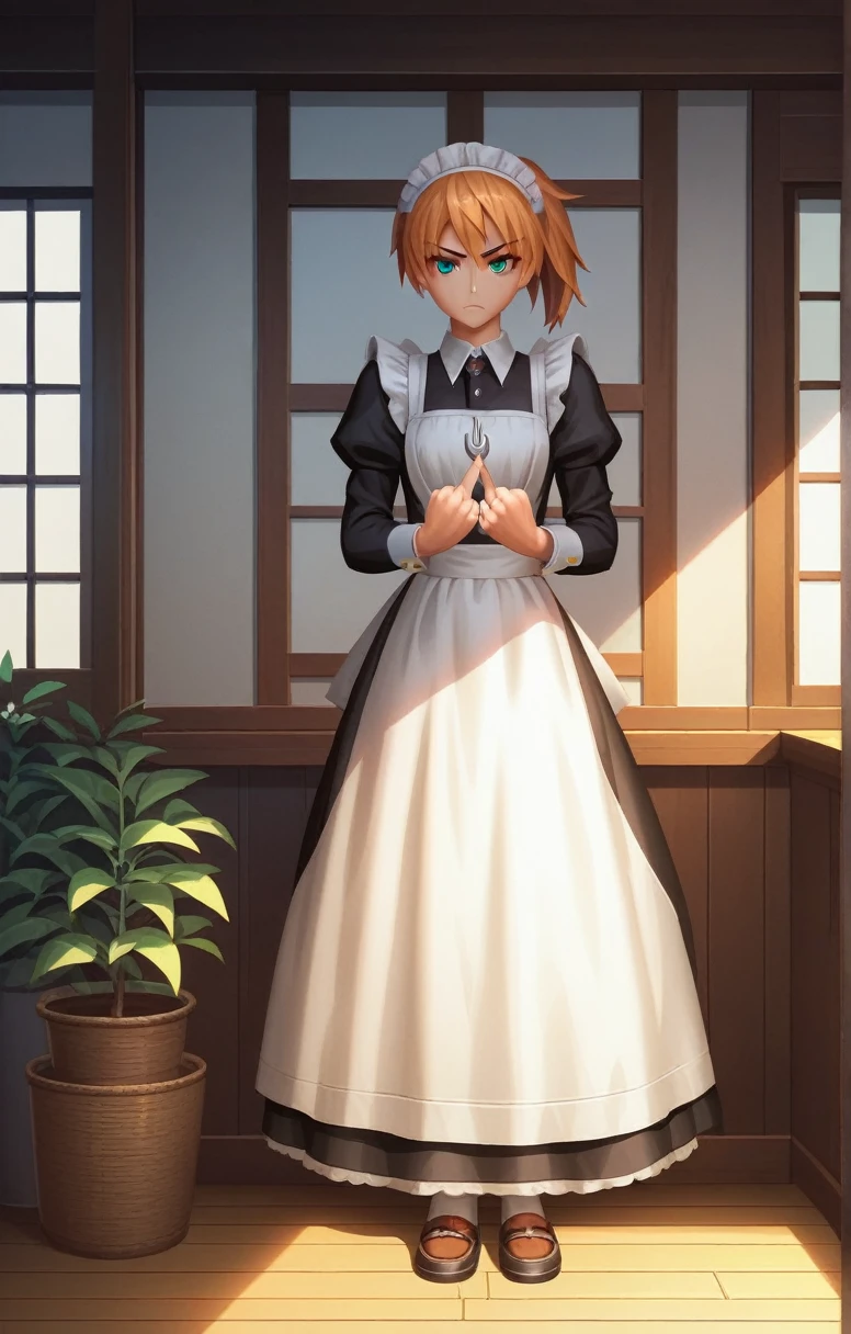 Fraction_9, Fraction_8_up, Fraction_7_up, Fraction_6_up, Fraction_5_Direction_4_up, Interrupt Sources_Japanese cartoons, 1 Girl, wearing clothes, Blade and Soul, indoors, Potted plants, window, Sunlight, From kasumi \(Skoczyk\), Looking at the audience, Serious, Hook of Holland, Maid, Weaving, Double middle finger,