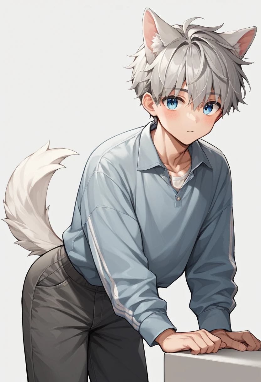 1 cute boy, gray hair, light blue eyes, com um olhar seducer, torso now, utility pants, white dog ears, white dog tail, seducer, beautiful and delicious body, your waist is leaning forward