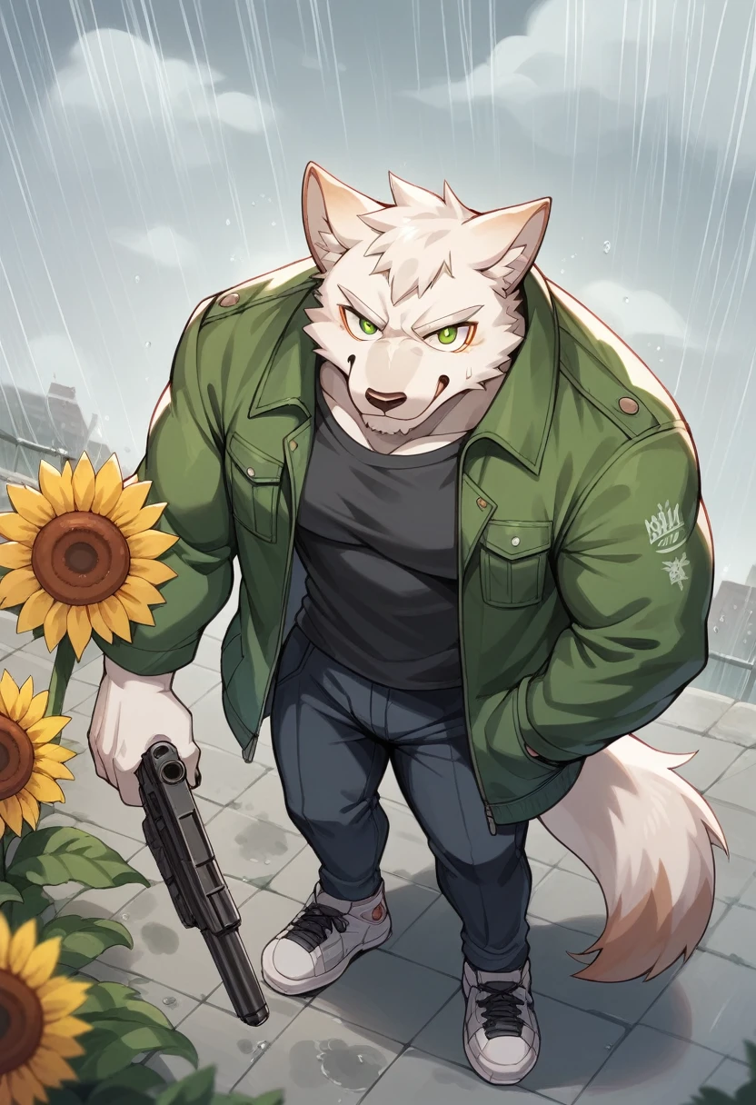 masterpiece, Best Quality, absurd resolution, ultra detailed, perfect anatomy,
monomasa,
por canandne khai, for you.and.stars, (by DRKS:0.28), (by Pino Daeni:0.8),
furry, muscular male, lobo, well-built, Alone, green pupils, sneakers,
jacket, dress, dynamic angle, high angle view, Blade, holding gun,
rain, cloudy, urban landscape, Sunflower field