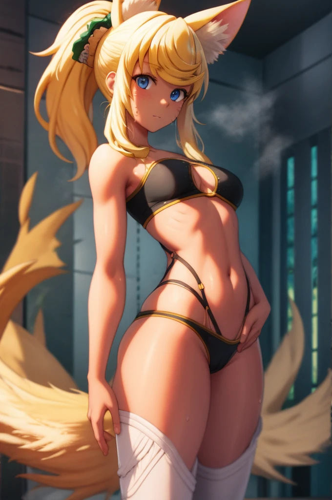 masterpiece,best quality,high resolution,8k,ultra HD,wallpaper,illustration,beautiful detailed eyes,perfect face,cowboy shot,beautiful detailed eyes,extremely detailed face,perfect lighting,extremely detailed CG,perfect hands,perfect anatomy,perfect body,perfect hands,perfect fingers,1woman,full body,,(muscle fighter:1.1),yellow short ponytail hair,(blue eyes:1.3),(large breasts:1.3),(Medium ASS:1.2),,black tubetop,blue short hot pants, clothed,looking at viewer,sexy look dog pose,cameltoe,Steam,wet,sweat,yellow fox medium ears,yellow fox medium tail,
