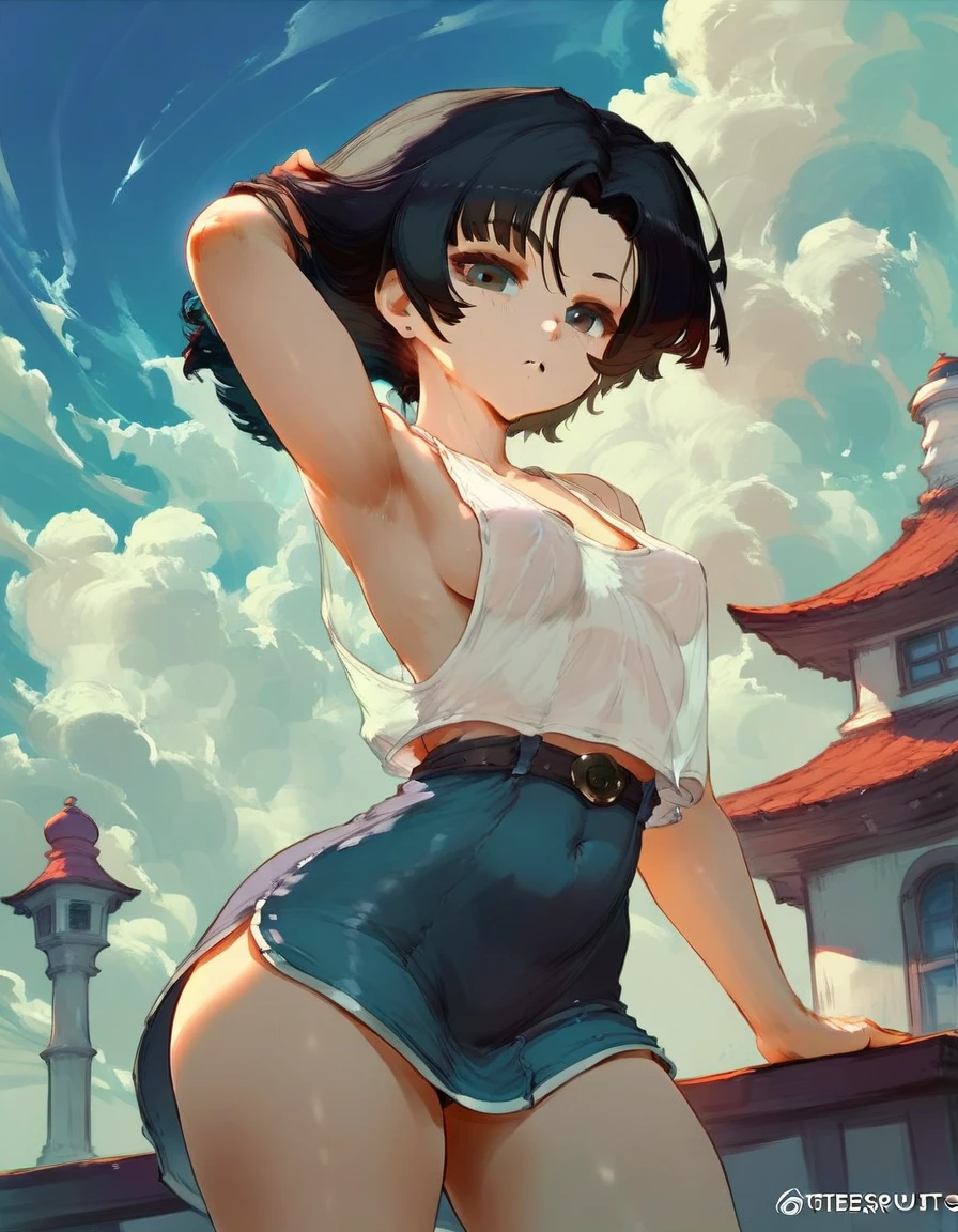 Videl - [Dragon Ball Z] (cutesexyrobutts) - Hentai Arena, anime, anatomically correct, super detailed, high quality, 4K
