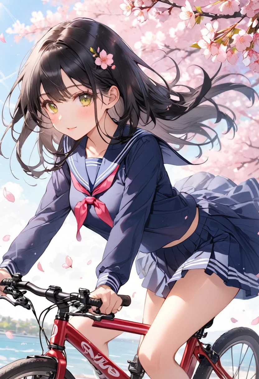 Long black hair、cherry blossoms、Riding a bicycle、Girl in sailor suit、Yellow-green eyes、Beauty