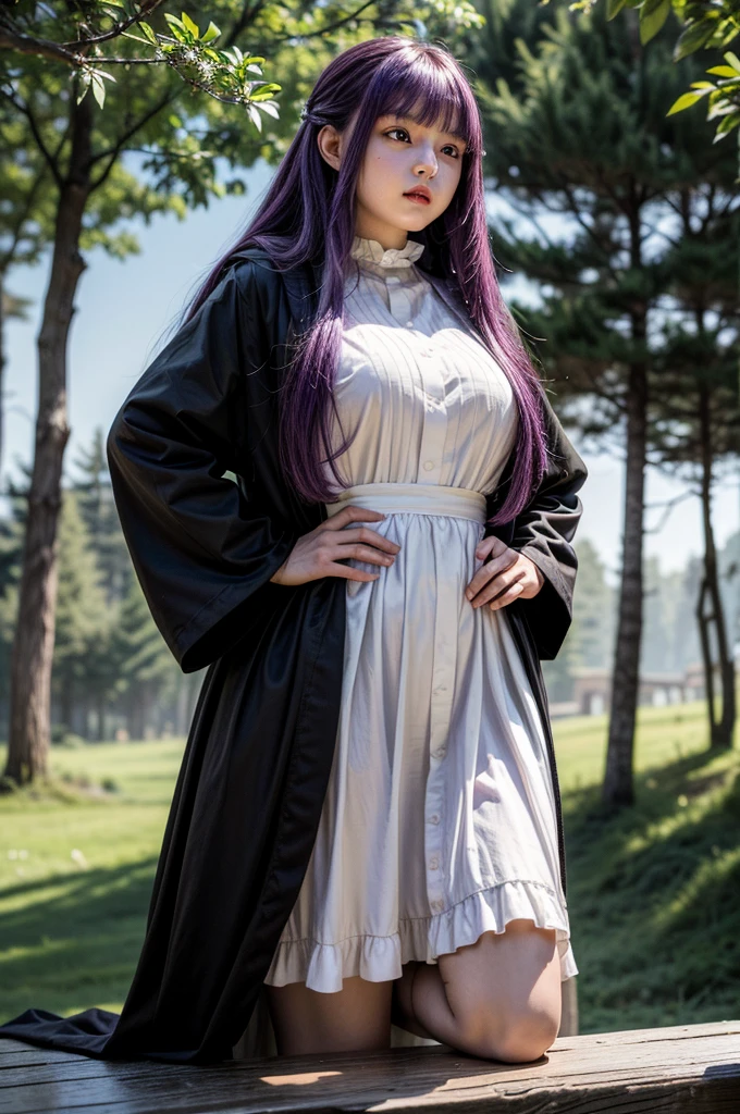masterpiece, Highest quality, Absurd, Perfect Anatomy, One girl, alone, Fernfrielen, Very long hair, Purple eyes, (Purple Eyes), White Dress, Black Robe, Large Breasts, Outdoor, forest, Standing with hands on hips