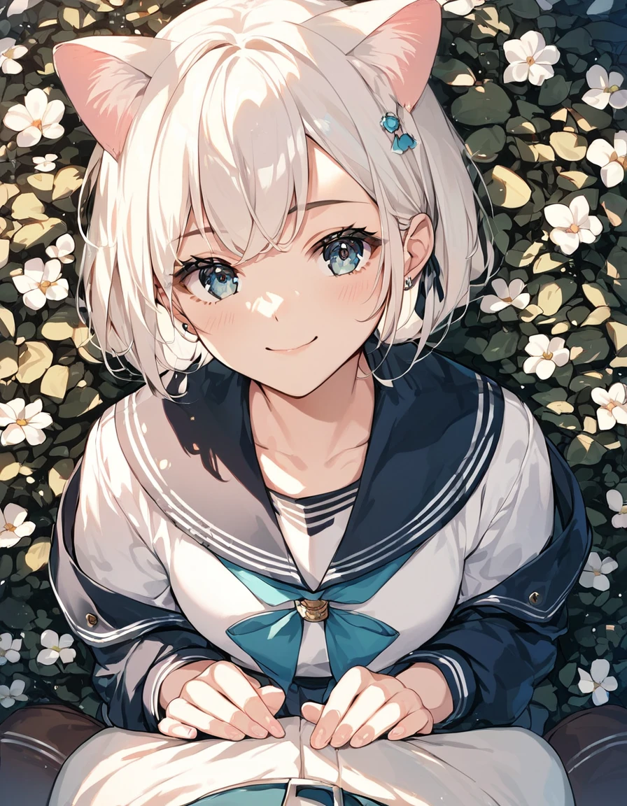 score_9, score_8_up, score_7_up, score_6_up, source_anime, rating_safe, masterpiece, best qualityer, Cat-eared girl with white hair, Straight ahead, Viewer's POV, hands out, adolable, sailor outfit