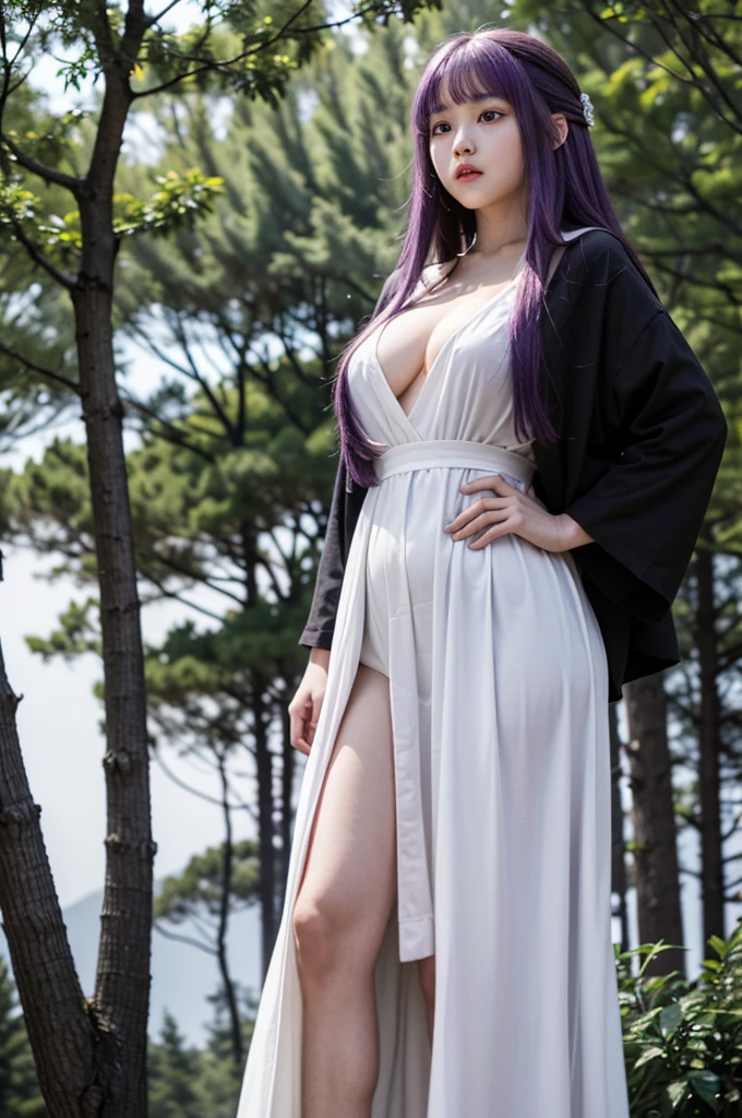 masterpiece, Highest quality, Absurd, Perfect Anatomy, One girl, alone, Fernfrielen, Very long hair, Purple eyes, (Purple Eyes), White Dress, Black Robe, Large Breasts, Outdoor, forest, Standing with hands on hips