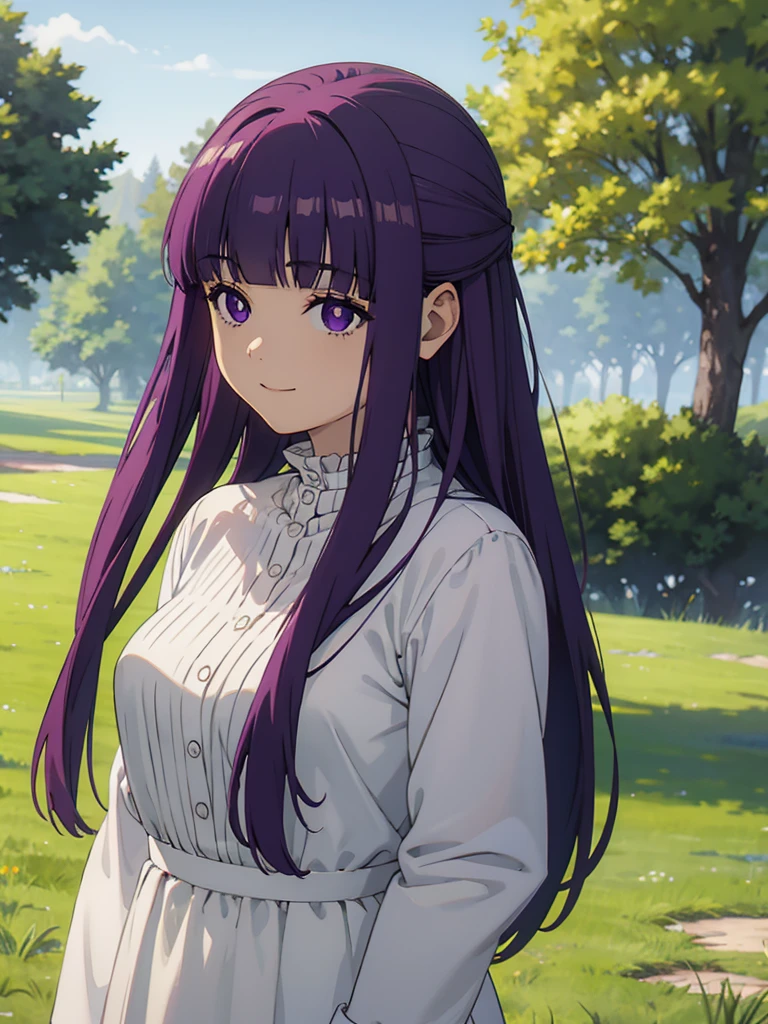 (FBJE_Fern), 1girl, solo, purple eyes, purple hair, long hair, bangs, blunt bangs, elegant, half updo, white ruffled dress, grassland, (Cowboy shot:0.7), looking at viewer, smile, (masterpiece:1.0),(best_quality:1.0), ultra high res,4K,ultra-detailed, photography, 8K, HDR, highres