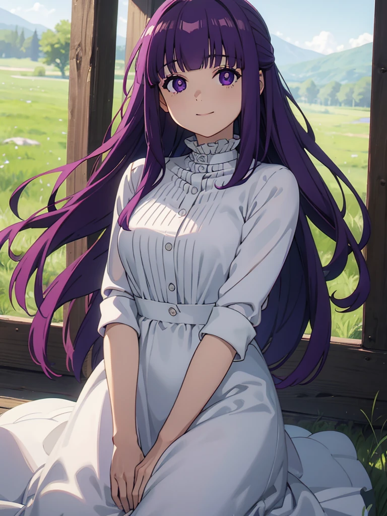 (FBJE_Fern), 1girl, solo, purple eyes, purple hair, long hair, bangs, blunt bangs, elegant, half updo, white ruffled dress, grassland, (Cowboy shot:0.7), looking at viewer, smile, (masterpiece:1.0),(best_quality:1.0), ultra high res,4K,ultra-detailed, photography, 8K, HDR, highres