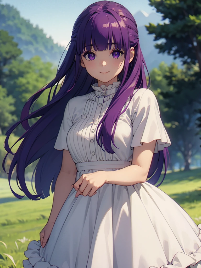 (FBJE_Fern), 1girl, solo, purple eyes, purple hair, long hair, bangs, blunt bangs, elegant, half updo, white ruffled dress, grassland, (Cowboy shot:0.7), looking at viewer, smile, (masterpiece:1.0),(best_quality:1.0), ultra high res,4K,ultra-detailed, photography, 8K, HDR, highres
