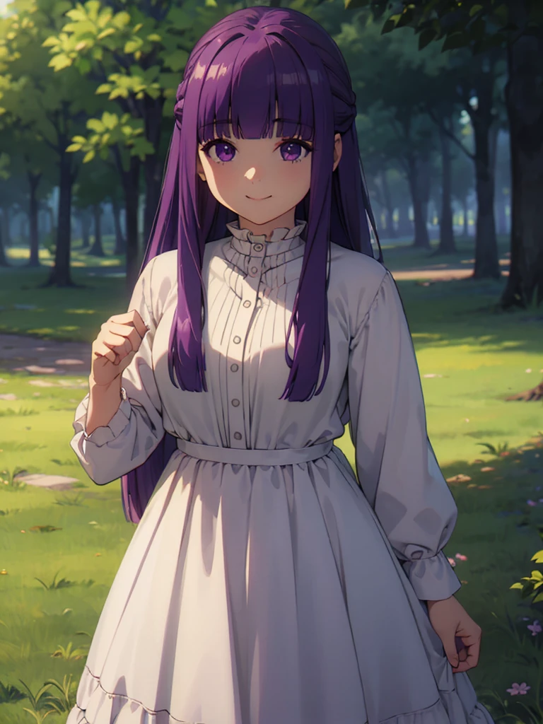 (FBJE_Fern), 1girl, solo, purple eyes, purple hair, long hair, bangs, blunt bangs, elegant, half updo, white ruffled dress, grassland, (Cowboy shot:0.7), looking at viewer, smile, (masterpiece:1.0),(best_quality:1.0), ultra high res,4K,ultra-detailed, photography, 8K, HDR, highres