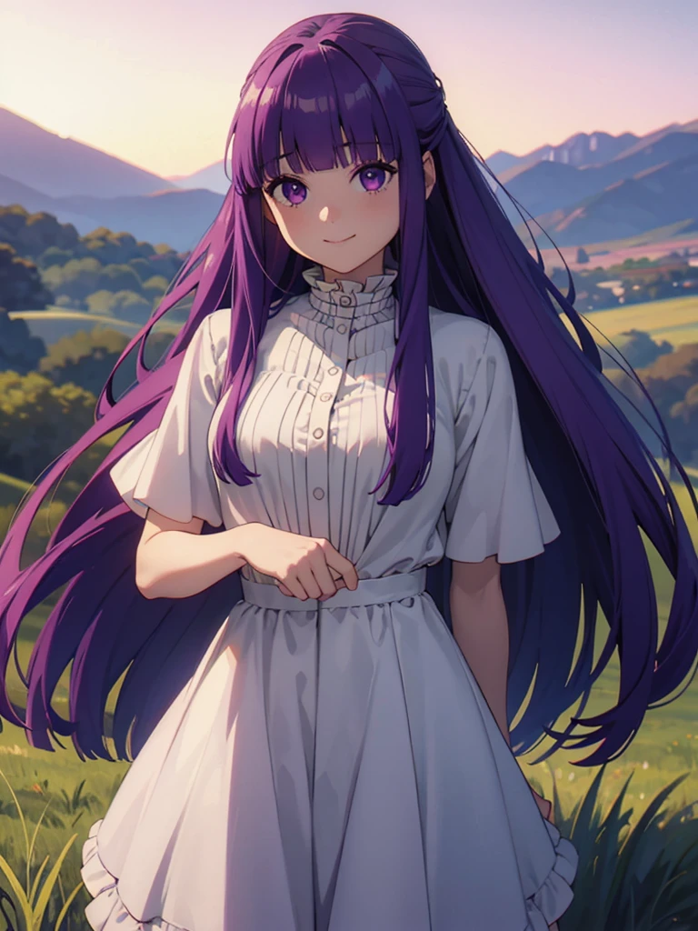 (FBJE_Fern), 1girl, solo, purple eyes, purple hair, long hair, bangs, blunt bangs, elegant, half updo, white ruffled dress, grassland, (Cowboy shot:0.7), looking at viewer, smile, (masterpiece:1.0),(best_quality:1.0), ultra high res,4K,ultra-detailed, photography, 8K, HDR, highres