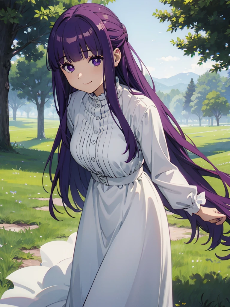 (FBJE_Fern), 1girl, solo, purple eyes, purple hair, long hair, bangs, blunt bangs, elegant, half updo, white ruffled dress, grassland, (Cowboy shot:0.7), looking at viewer, smile, (masterpiece:1.0),(best_quality:1.0), ultra high res,4K,ultra-detailed, photography, 8K, HDR, highres