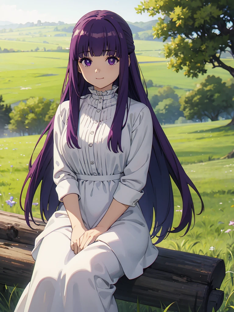 (FBJE_Fern), 1girl, solo, purple eyes, purple hair, long hair, bangs, blunt bangs, elegant, half updo, white ruffled dress, grassland, (Cowboy shot:0.7), looking at viewer, smile, (masterpiece:1.0),(best_quality:1.0), ultra high res,4K,ultra-detailed, photography, 8K, HDR, highres