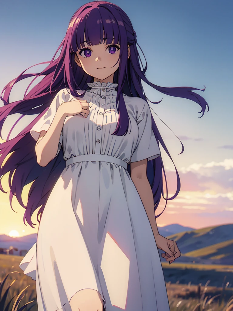 (FBJE_Fern), 1girl, solo, purple eyes, purple hair, long hair, bangs, blunt bangs, elegant, half updo, white ruffled dress, grassland, (Cowboy shot:0.7), looking at viewer, smile, (masterpiece:1.0),(best_quality:1.0), ultra high res,4K,ultra-detailed, photography, 8K, HDR, highres