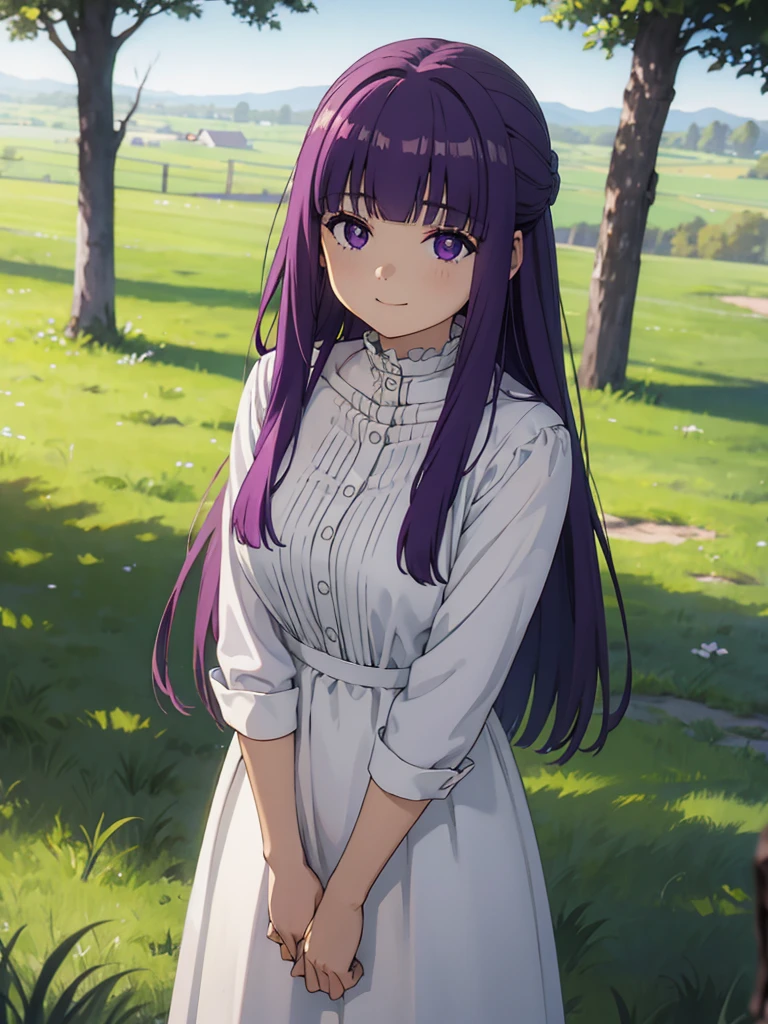 (FBJE_Fern), 1girl, solo, purple eyes, purple hair, long hair, bangs, blunt bangs, elegant, half updo, white ruffled dress, grassland, (Cowboy shot:0.7), looking at viewer, smile, (masterpiece:1.0),(best_quality:1.0), ultra high res,4K,ultra-detailed, photography, 8K, HDR, highres