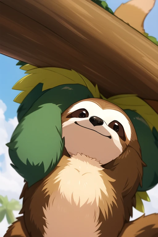 A Sloth　Deformation　animal　cute　