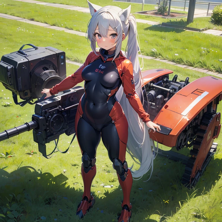 (Fox Girl, Fox Ears, Silver Hair, Fox Makeup, One Girl, Long Hair, Alone on the screen:1.6), (mecha musume, Machinery Parts,Robot Joints, Red clothes, Full body mechanical suit:1.8), (Body measurements are 75-60-75!, Young girl body, Small breasts, Proudly, Standing posture, slender, muscle:1.9), Avatar, face, lewd face, Dominant representation, naughty face, Uplifting, Skin Texture, outside, Grassy field