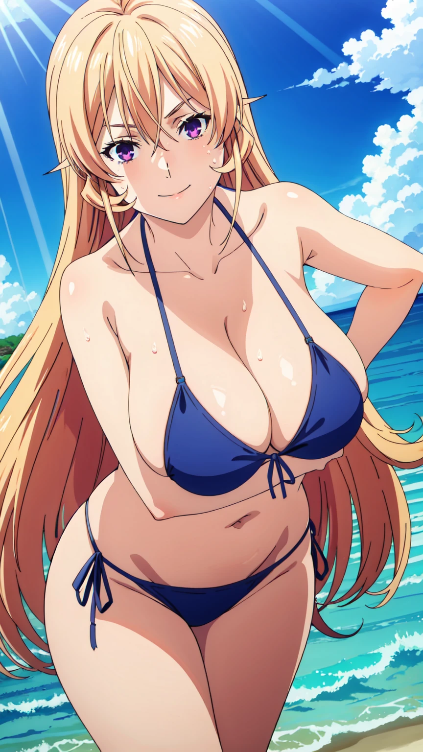tall body, tall, long legs, mature female, mature, adult, Erina_Prodigy, 1girl, solo, purple eyes, long hair, smile, looking at viewer, , blonde hair,breasts, hair between eyes, closed mouth,, blue theme, blue background, cloudy sky, sunlight, sweat, orgasmic, bikini swimsuit, large breasts, cleavage, belly button exposed, collarbone, thighs, sea and beach,