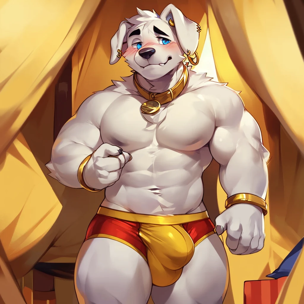 Solo, male (((retriever, muscular, white fur, white body, white fur, black eyebrows, black nose, blue eyes, folded ears, flustered expression, blush, ear piercing, ear ring, golden collar, gold cuffs, thin waist, underwear, big bulge))) standing, 5 fingers, tribal tent ((focus eyes, focus pupils, focus white body, focus white fur, focus 5 fingers, focus golden collar, focus underwear)) full body, perfect anatomy, adult character, by darkgem, by mystikfox61, by glitter trap boy