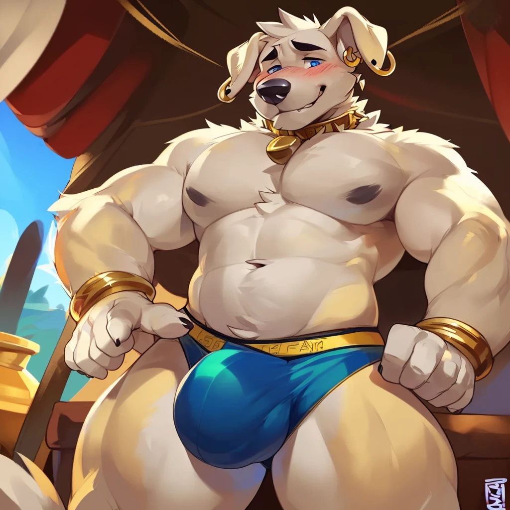 Solo, male (((retriever, muscular, white fur, white body, white fur, black eyebrows, black nose, blue eyes, folded ears, flustered expression, blush, ear piercing, ear ring, golden collar, gold cuffs, thin waist, underwear, big bulge))) standing, 5 fingers, tribal tent ((focus eyes, focus pupils, focus white body, focus white fur, focus 5 fingers, focus golden collar, focus underwear)) full body, perfect anatomy, adult character, by darkgem, by mystikfox61, by glitter trap boy