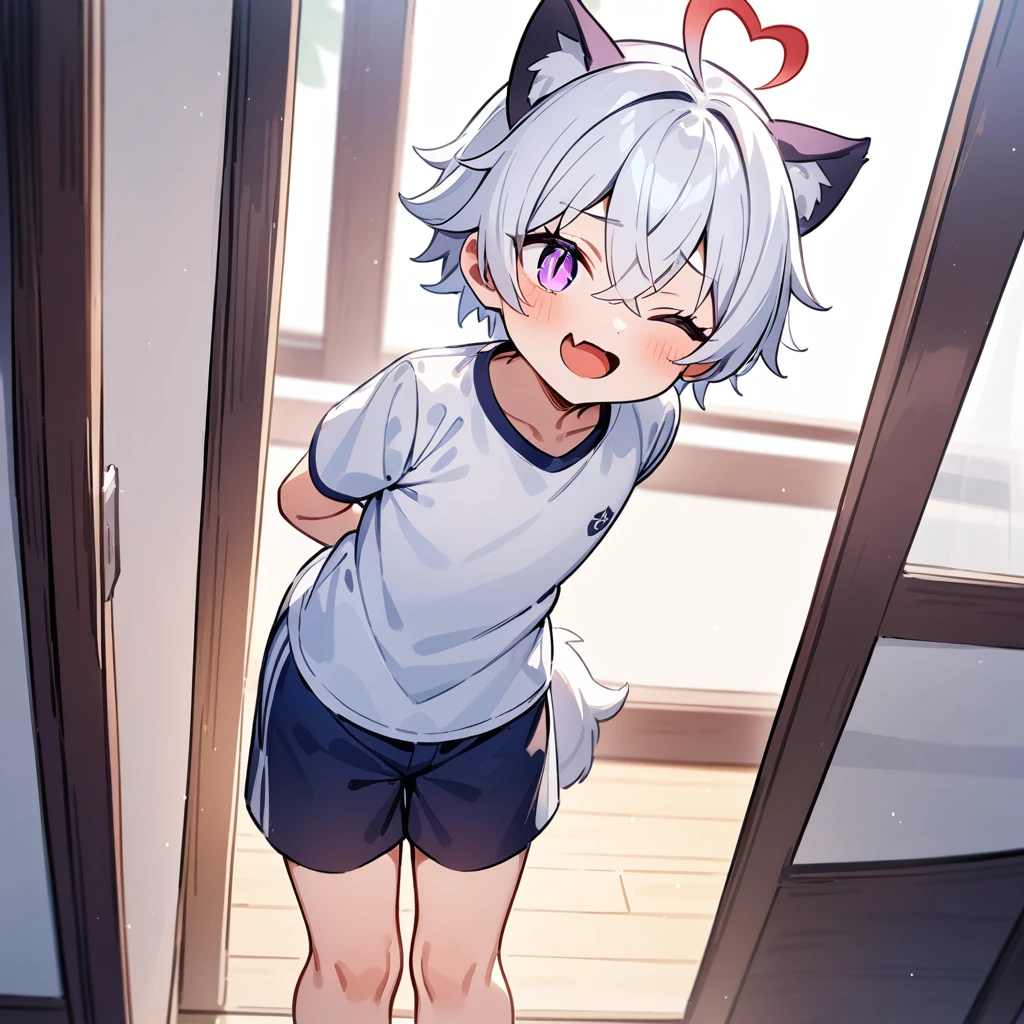 （masterpiece：1.2，high quality），4K，High resolution，A seven-year-old boy，cute boy， white hair，short hair，crossed bangs，purple eyes，slit pupils，one eye closed，heart ahoge，red halo，cat ears，laughing，skin fang，Wearing a white shirt，dark blue sports shorts，Standing in the room，Next to it is the window，curtain，primary school student，thigh，alone，dog tail，((Hands behind your back))