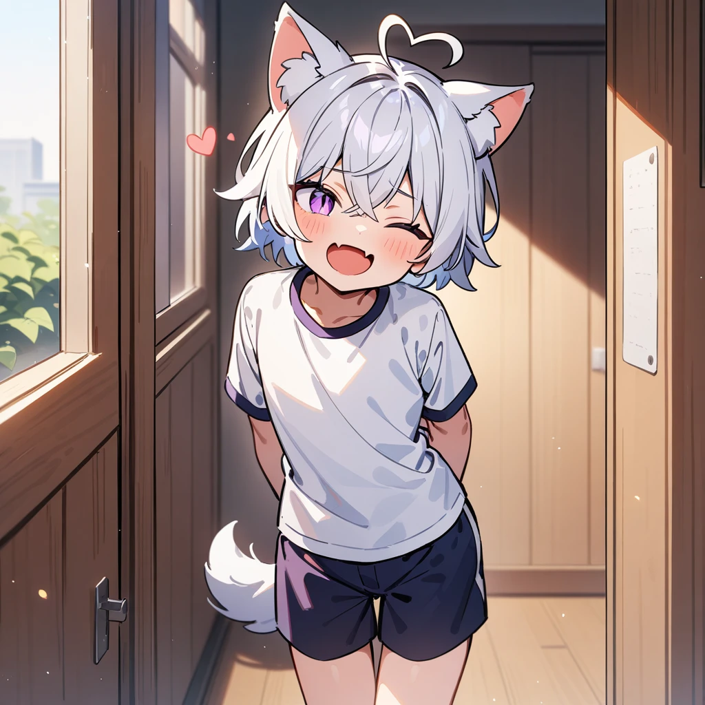 (masterpiece:1.2,high quality),4K,High resolution,A seven-year-old boy,cute boy, white hair,short hair,crossed bangs,purple eyes,slit pupils,one eye closed,heart ahoge,red halo,cat ears,laughing,skin fang,Wearing a white shirt,dark blue sports shorts,Standing in the room,Next to it is the window,curtain,primary school student,thigh,alone,dog tail,((Hands behind your back))