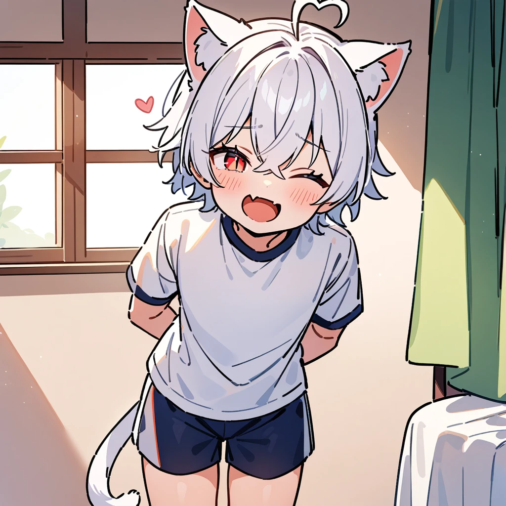 （masterpiece：1.2，high quality），4K，High resolution，A seven-year-old boy，cute boy， white hair，short hair，crossed bangs，red eyes，slit pupils，one eye closed，heart ahoge，cat ears，laughing，skin fang，Wearing a white shirt，dark blue sports shorts，Standing in the room，Next to it is the window，curtain，primary school student，thigh，alone，cat tail，((Hands behind your back))