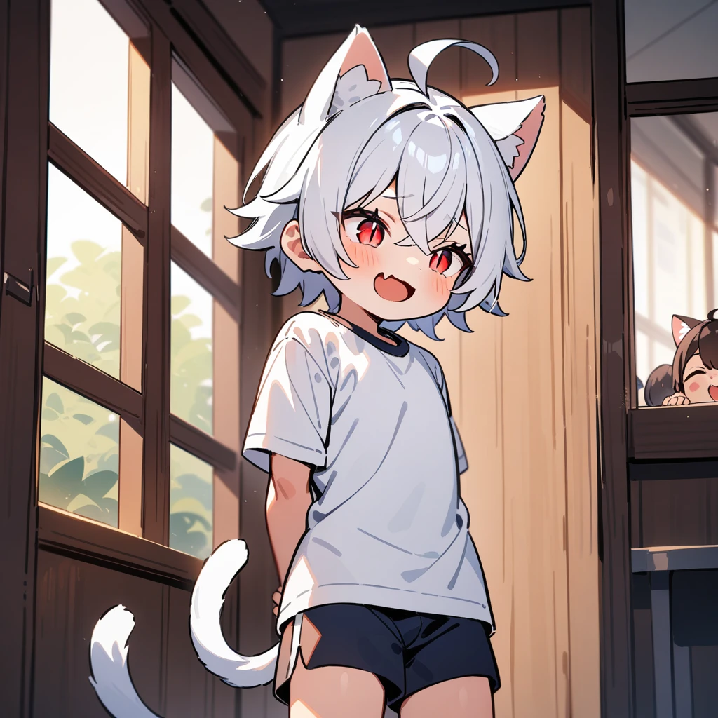 （masterpiece：1.2，high quality），4K，High resolution，A four-year-old boy，cute boy， white hair，short hair，crossed bangs，red eyes，slit pupils， ahoge，cat ears，laughing，skin fang，Wearing a white shirt，dark blue sports shorts，Standing in the room，Next to it is the window，curtain，primary school student，thigh，alone，cat tail，((Hands behind your back))