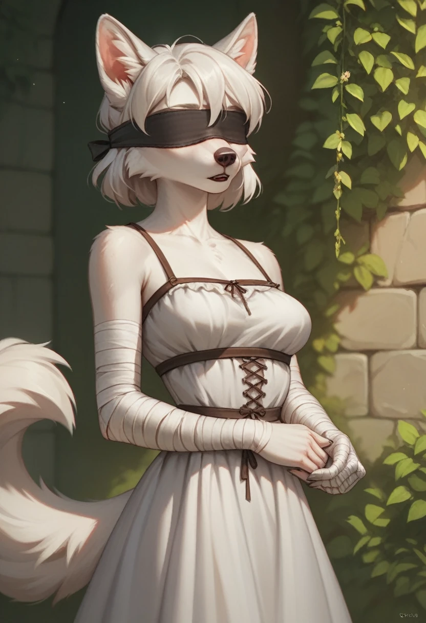 Anthro, beautiful, (feminine:1.1), wolf-woman, docile, white fur, short hair, white wolf ears, long snout, bandaged arms, (blindfold:1.3), plain medieval gray dress, breast fur, medium breasts