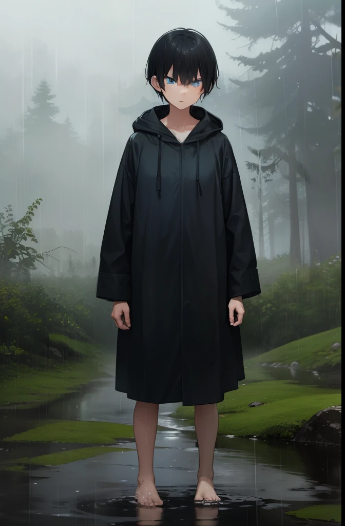 forest,rain,soil,fog,cloudy,Girl 1,boyish,short hair,Black Hair,blue eyes,Long black raincoat,Put on the hood,barefoot,Serious face,Wet,Are standing,