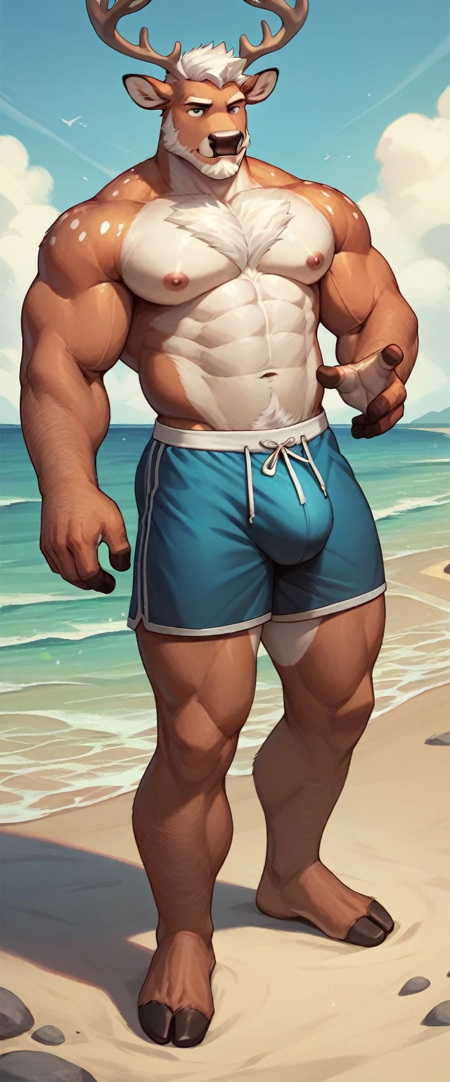 Deer anthropomorphic, male chest, Navel, nipples, full length, press, broad shoulders, muscular, white short beard, short white hair, white chest hair, beach, swimming trunks, One, hairy hands, large bulge at the bottom,