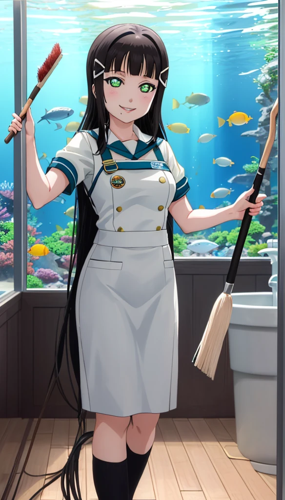 A scene featuring Dia Kurosawa from Love Live! Sunshine!!. She has long black hair and green eyes, smiling brightly. She's cleaning an aquarium, holding up a deck brush. The water splashes around her, sparkling in the light.
A character wearing an aquarium uniform.Smile Anime