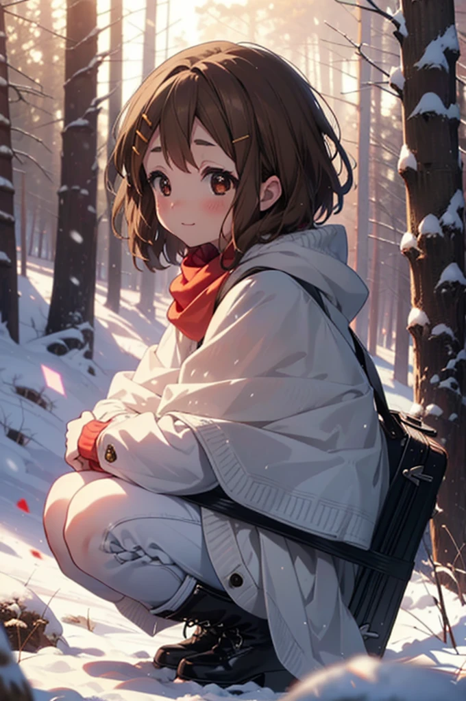 yuihirasawa, Yui Hirasawa, short hair, Brown Hair, hair ornaments, (Brown eyes:1.5), Hair Clip、smile,smile,blush,white breath,
Open your mouth,snow,Ground bonfire,, Outdoor, boots, snowing, From the side, wood, suitcase, Cape, Blurred, , forest, White handbag, nature, Squat, Mouth closed, Cape, winter, Written boundary depth, Black shoes, red Cape break looking at viewer, Upper Body, whole body, break Outdoor, forest, nature, break (masterpiece:1.2), Highest quality, High resolution, unity 8k wallpaper, (shape:0.8), (Beautiful and beautiful eyes:1.6), Highly detailed face, Perfect lighting, Extremely detailed CG, (Perfect hands, Perfect Anatomy),