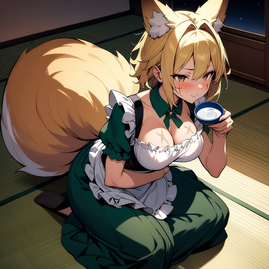 (masterpiece,best quality,very aesthetic),super-fine illustration,high saturation,BREAK,solo,1girl,30 years old,curvy,large breasts,tall,stout build,bewitching,(fox tail),blonde fox ears,short hair,blonde hair,beautiful face,(brown eyes),(half closed eyes:0.5),(messy hair),disheveled hair,hair intakes,(dark green maid clothes,frilled long skirt with side slit,maid apron:1.2),(smirk:0.8),sitting,indian style,leaning against low table,drunk,comfortable,drinking,japanese sake bottle,holding a sake cup,japanese shrine,indoors,tatami,shoji,night,evening,Illuminated by indirect light placed on the floor,low table,(scar on cheek,scar on breasts:1.2),cowboy shot,sideways glance,from above