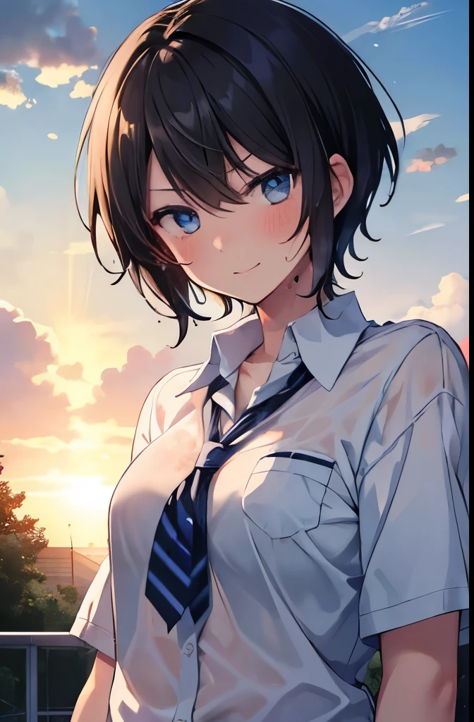 high school,Schoolyard,sun,cloud,Girl 1,boyish,short hair,Black Hair,blue eyes,smile,Serious face,blush,Sweaty,Wet,Women&#39;s summer uniform,mini skirt,Cowboy shot with hands on hips,From below