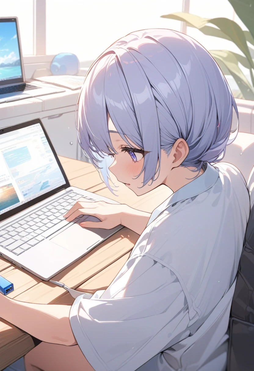 ((background only)),masterpiece, best quality, extremely detailed, ultra detailed, flat anime, 2D,
laptop computer,Reading data from a USB flash drive,
summer, 11AM, livingroom,