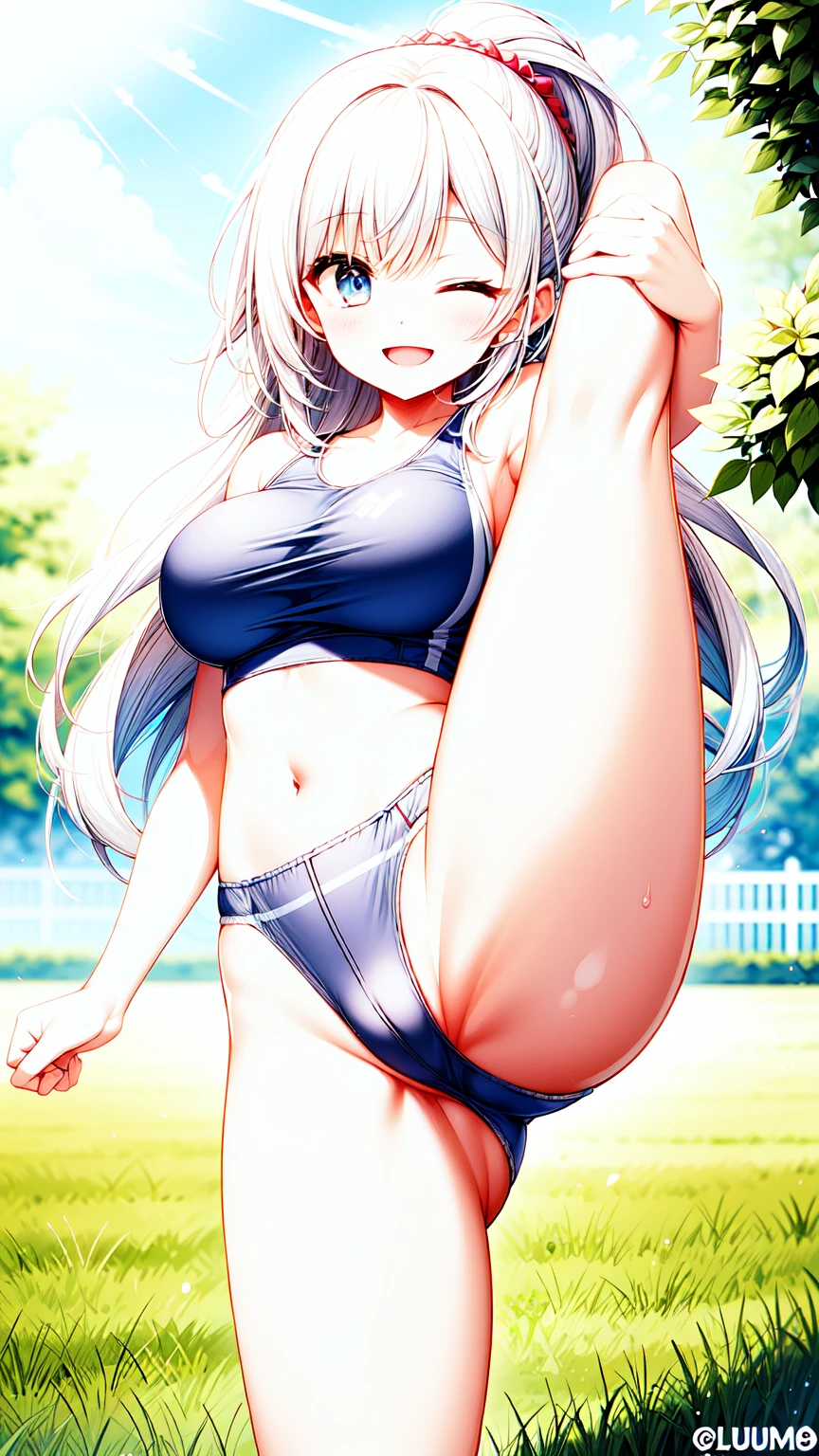beautiful, masterpiece, best quality, extremely detailed face, perfect lighting, masterpiece, best quality, 1girl, blush, blue eyes, white hair, long hair, ponytail, buruma, sports bra, sportswears, ;),smile, one eyes closed, large breasts, standing, leg up, spread legs, garden, looking at viewer