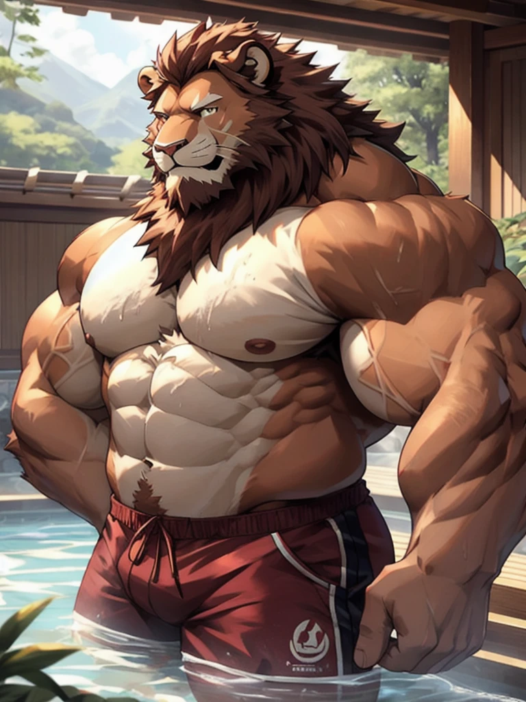 muscular old man soak in the onsen, shorts, furry, an anthro (burgundy lion), an anthto, a old man big muscular, happy expression, detailed face, face, detailed eyes, eyes, really big muscle, bigger muscle, very big muscular, over sized muscle, biggest muscle, big pec muscular, biggest pec muscle, detailed muscle, realistic rendering, CG realistic, 3d realistic, photography, background