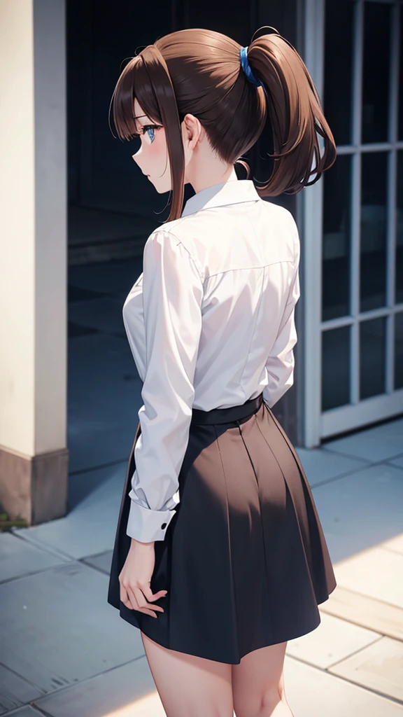 ponytail, brown hair, blue eyes, dress shirt, standing, Pale skin, from behind, --niji 5 --ar 2:3 --s 1000

