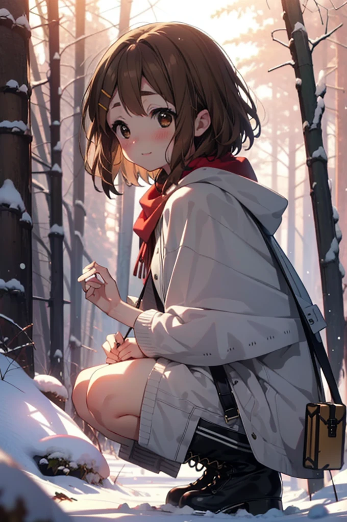 yuihirasawa, Yui Hirasawa, short hair, Brown Hair, hair ornaments, (Brown eyes:1.5), Hair Clip、smile,smile,blush,white breath,
Open your mouth,snow,Ground bonfire,, Outdoor, boots, snowing, From the side, wood, suitcase, Cape, Blurred, , forest, White handbag, nature, Squat, Mouth closed, Cape, winter, Written boundary depth, Black shoes, red Cape break looking at viewer, Upper Body, whole body, break Outdoor, forest, nature, break (masterpiece:1.2), Highest quality, High resolution, unity 8k wallpaper, (shape:0.8), (Beautiful and beautiful eyes:1.6), Highly detailed face, Perfect lighting, Highly detailed CG, (Perfect hands, Perfect Anatomy),