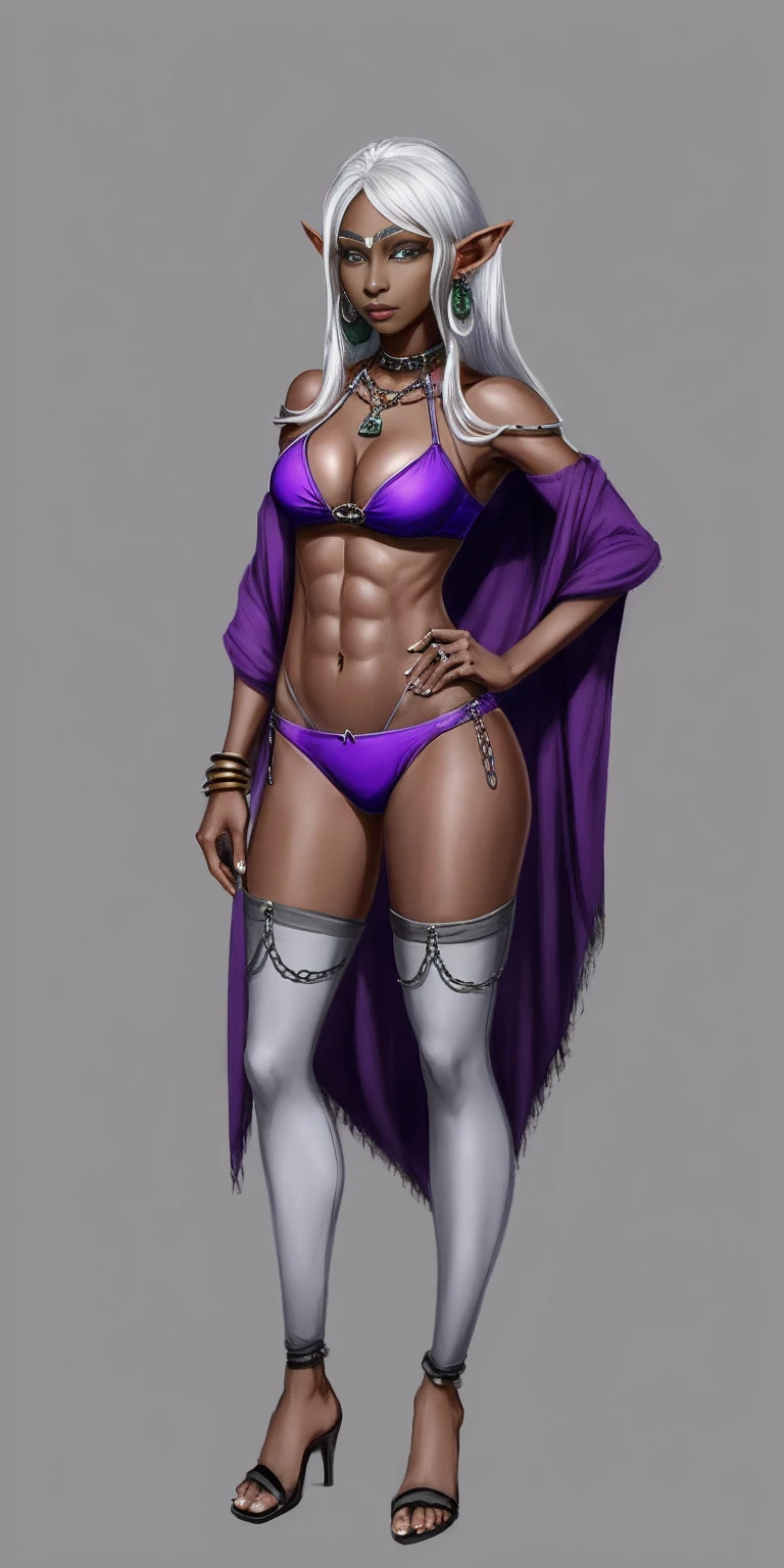 Appearance
Gender: Female
Age: Mature
Race: Drow (elf with dark skin and white hair)
Height: Full-body
Skin: Gray
Skin: Gray
Background: Plain Gray
Eyes: Purple
Attire: Bikini, revealing abdominal muscles
Accessories: Large earrings, ragged rags, chain necklace